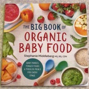 The Big Book of Organic Baby Food